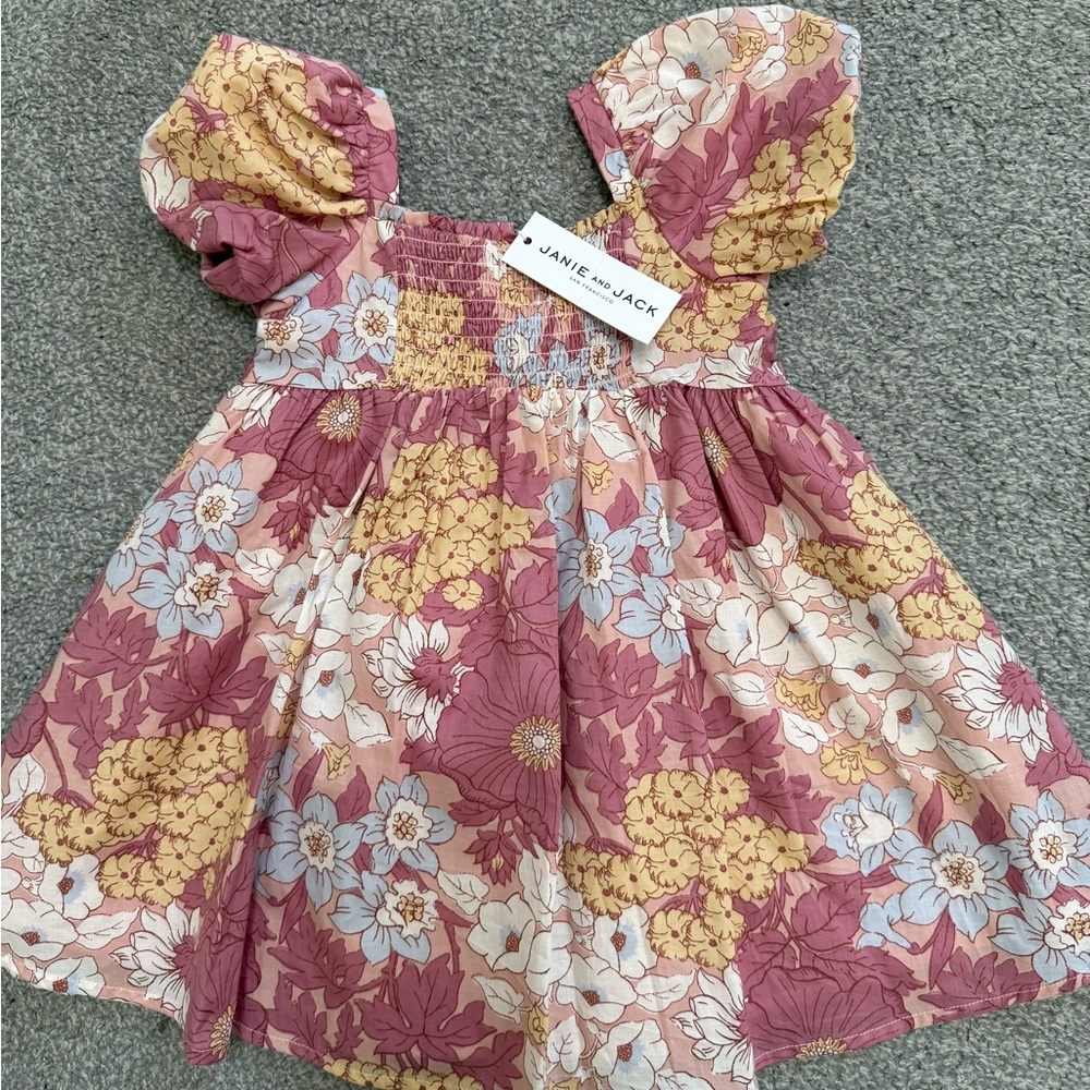 Janie & Jack Dress NWT size 2T